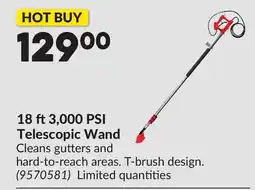 Princess Auto 18 ft 3,000 PSI Telescopic Wand offer