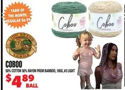 Len's Mill Stores LION BRAND YARNS COBOO YARN offer