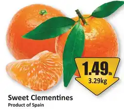 Starsky Sweet Clementines offer