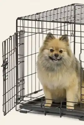 Petvalu Essentials Single Door Wire Pet Crate offer