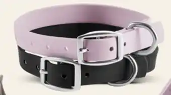 Petvalu Bailey & Bella Waterproof Dog Collar offer