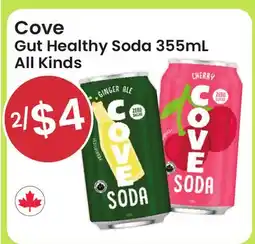 Healthy Planet Cove Gut Healthy Soda offer
