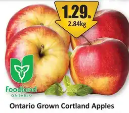 Starsky Ontario Grown Cortland Apples offer
