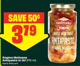 FreshCo Regina Molisana Antipasto in Oil offer