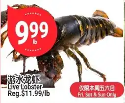 SunFood Supermarket Live Lobster offer
