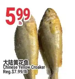 SunFood Supermarket Chinese Yellow Croaker offer