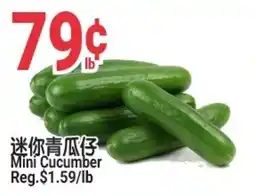 SunFood Supermarket Mini Cucumber offer
