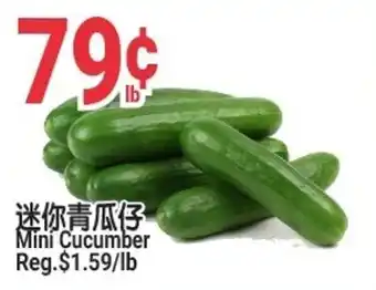 SunFood Supermarket Mini Cucumber offer