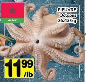 Supermarché PA PIEUVRE | Octopus offer