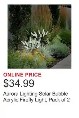 Costco Aurora Lighting Solar Bubble Acrylic Firefly Light, Pack of 2 offer