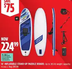 Canadian Tire 10' INFLATABLE STAND-UP PADDLE BOARD offer