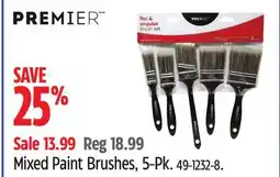 Canadian Tire Mixed Paint Brushes offer