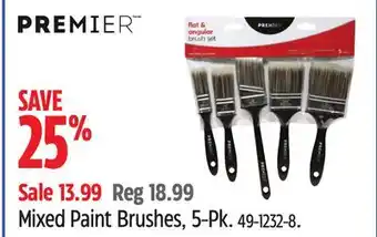 Canadian Tire Mixed Paint Brushes offer
