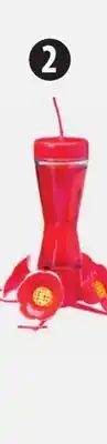Canadian Tire Glass Hummingbird Feeder offer