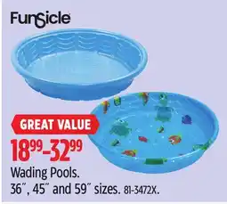 Canadian Tire Wading Pools offer