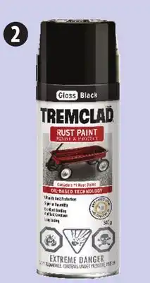 Canadian Tire Spray Rust offer