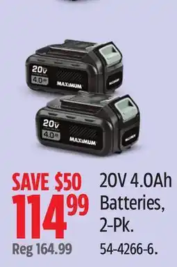 Canadian Tire 20V 4.0Ah Batteries offer