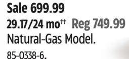 Canadian Tire Natural-Gas Model offer