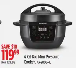 Canadian Tire Instant Pot 4-Qt Rio Mini Pressure Cooker offer