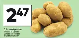 Giant Tiger 5 lb russet potatoes offer