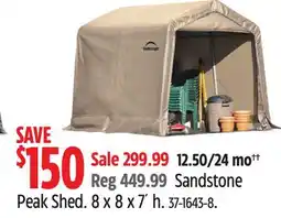 Canadian Tire Peak Shed offer