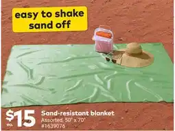 Giant Tiger Sand-resistant blanket offer