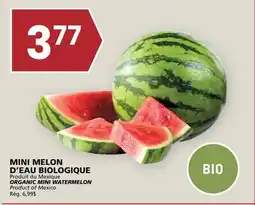 Rachelle-Bery Grocery ORGANIC MINI WATERMELON offer