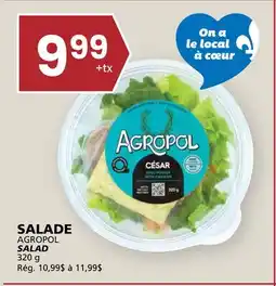 Rachelle-Bery Grocery AGROPOL SALAD offer