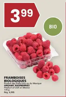 Rachelle-Bery Grocery ORGANIC RASPBERRIES offer