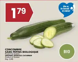 Rachelle-Bery Grocery ORGANIC SEEDLESS CUCUMBER offer