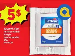 Maxi BOLOGNE LAFLEUR | BOLOGNA offer