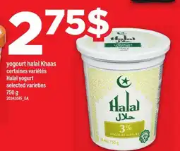 Maxi YOGOURT HALAL KHAAS | HALAL YOGURT offer