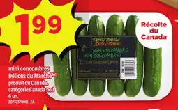 Maxi MINI CONCOMBRES DÉLICES DU MARCHÉ, 6 UN offer