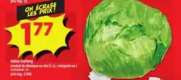 Maxi LAITUE ICEBERG offer