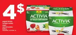 Maxi YOGOURT ACTIVIA | YOGURT offer