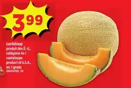 Maxi CANTALOUP | CANTALOUPE offer
