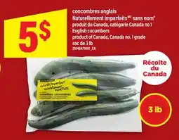 Maxi CONCOMBRES ANGLAIS NATURELLEMENT IMPARFAITS SANS NOM | English cucumbers, SAC DE 3 LB offer