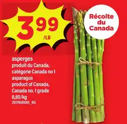 Maxi ASPERGES | ASPARAGUS offer