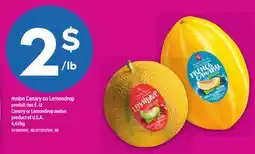 Maxi MELON CANARY OU LEMONDROP | CANARY OR LEMONDROP MELON offer