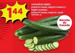 Maxi CONCOMBRES ANGLAIS | ENGLISH CUCUMBERS offer