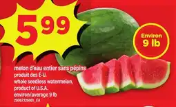 Maxi MELON D'EAU ENTIER SANS PÉPINS | WHOLE SEEDLESS WATERMELON, ENVIRON/AVERAGE, 9 LB offer