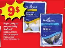 Maxi TILAPIA, 1,36 KG OU POMPANO, 800 G SEAQUEST | TILAPIA OR POMPANO offer