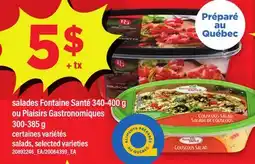 Maxi SALADES FONTAINE SANTÉ, 340-400 G OU PLAISIR GASTRONOMIQUES, 300-385 G | salads offer