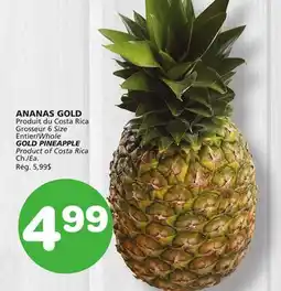 Marches Tradition GOLD PINEAPPLE offer