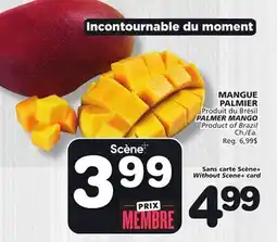 Marches Tradition PALMER MANGO offer