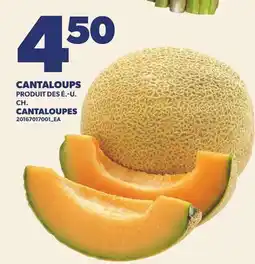 Provigo CANTALOUPS | CANTALOUPES offer
