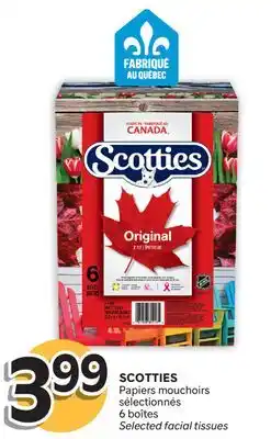 Brunet SCOTTIES Papiers mouchoirs sélectionnés offer