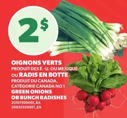 Provigo OIGNONS VERTS OU RADIS EN BOTTE | GREEN ONIONS OR BUNCH RADISHES offer