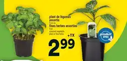 Super C plant de légumes assortis, fines herbes assorties | assorted vegetable plant or fine herbs offer