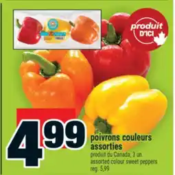 Super C poivrons couleurs assorties | assorted colour sweet peppers offer